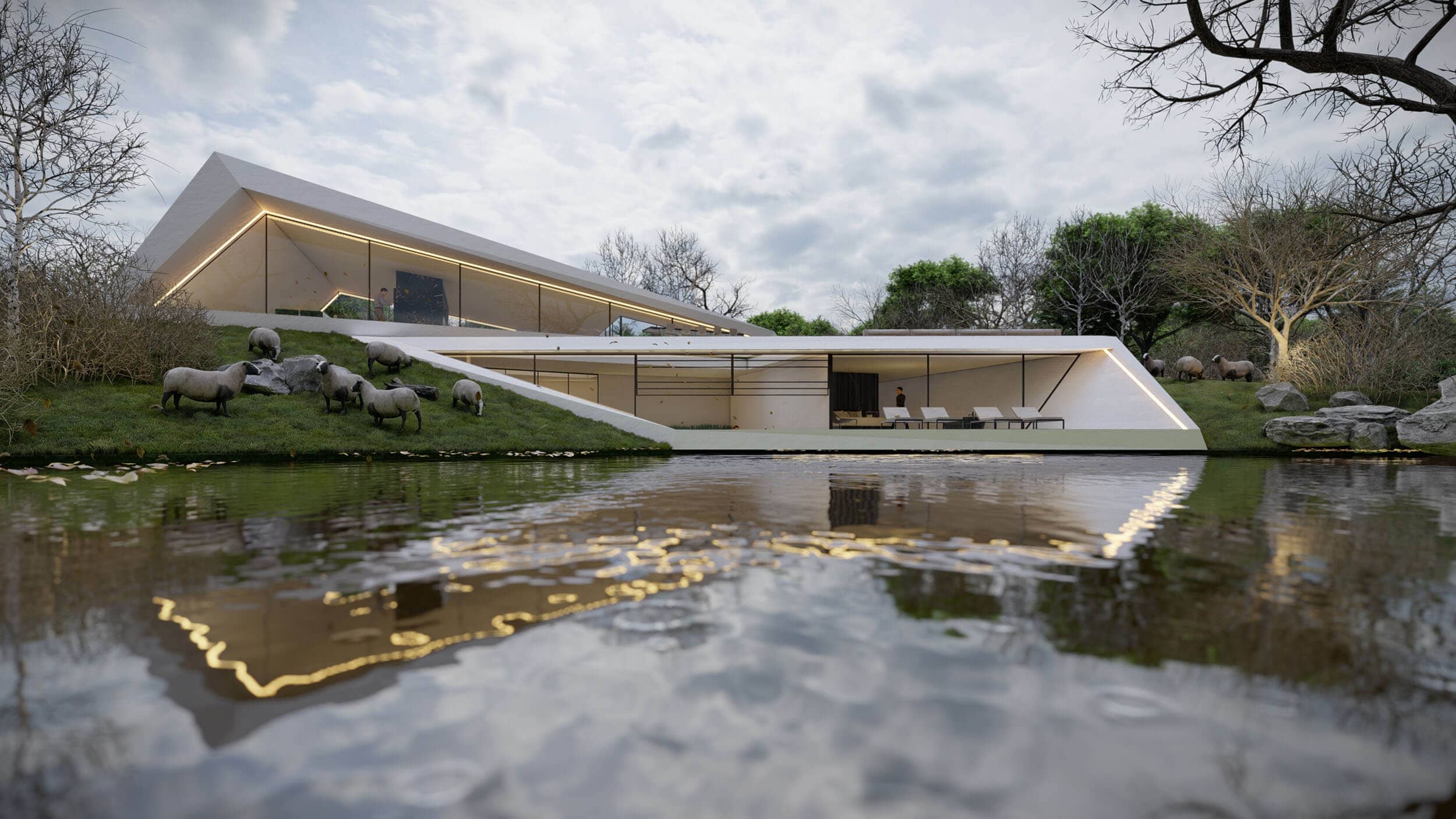 Architect shifted villa